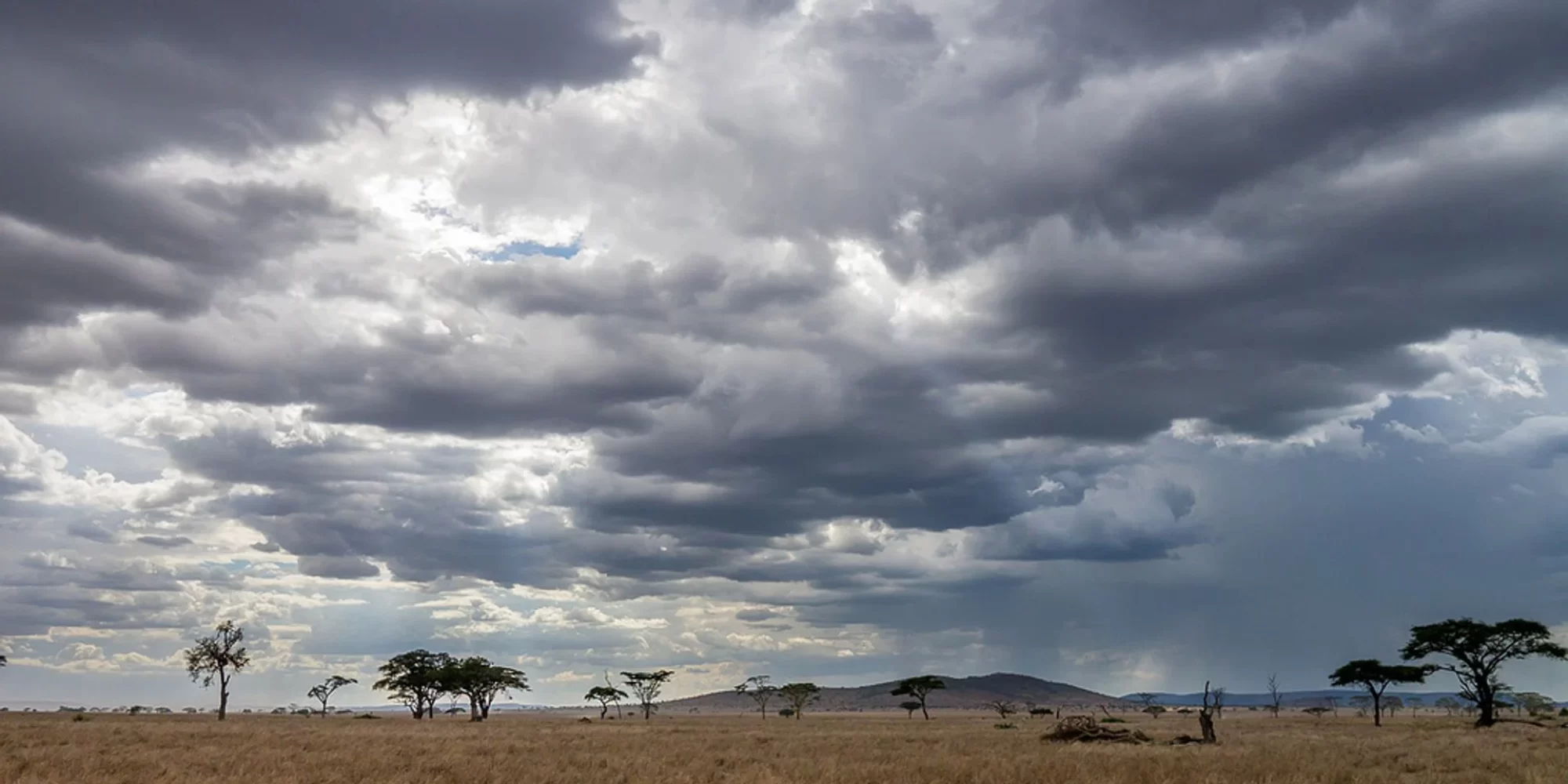 tanzania-short-rainy-season